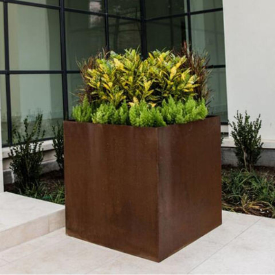 SGS TUV Corten Steel Cube Planter Laser Cut Rusty Steel Planters tahan abrasi