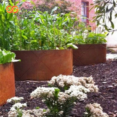 OEM ODM Patio Balcony Outdoor Metal Raised Garden Bed Untuk Sayuran Tahan Karat