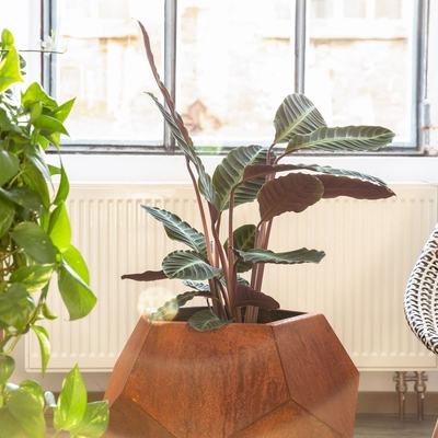 Potong Laser Corten Steel Planter Garden Pot Bunga Luar Ruangan