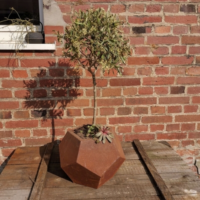 Potong Laser Corten Steel Planter Garden Pot Bunga Luar Ruangan
