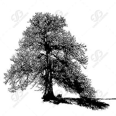 Corten Steel Rusted Lifelike Outdoor Metal Tree Sculpture Dekoratif