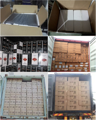 Outdoor Rumah Tangga Portable Halaman Belakang Taman Camping Memasak Stainless Steel Gas Bbq Grills