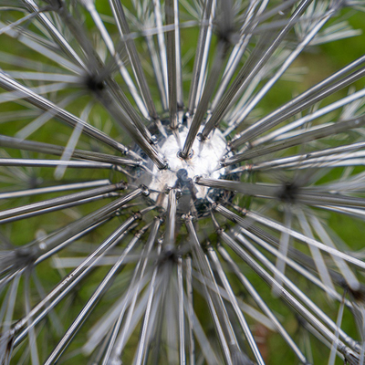 304 316 Stainless Steel Yard Art Electroplate Dandelion Shape Untuk Taman